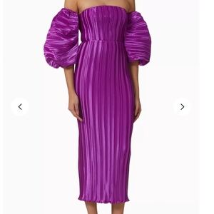 NWT Sirene Pleated Gown Grape